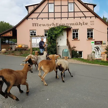 Meuschkensmuhle Affittacamere