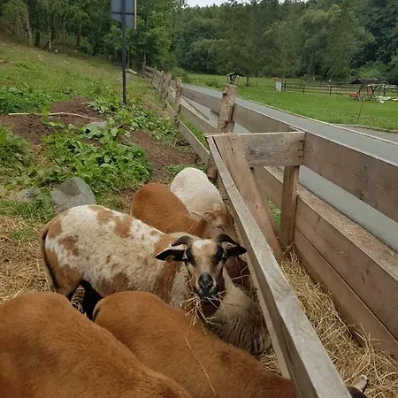 Meuschkensmuhle Affittacamere