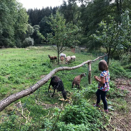 Meuschkensmuhle * Weissenborn (Thuringia)