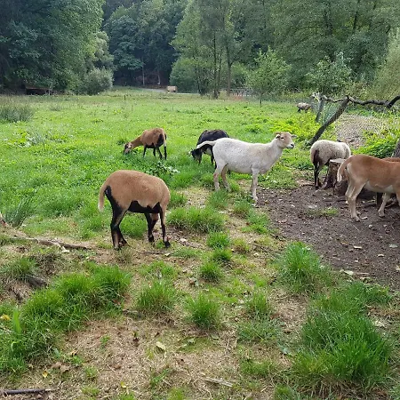 Affittacamere Meuschkensmuhle Weissenborn (Thuringia)