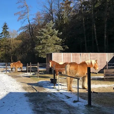 Meuschkensmuhle Affittacamere Weissenborn (Thuringia)